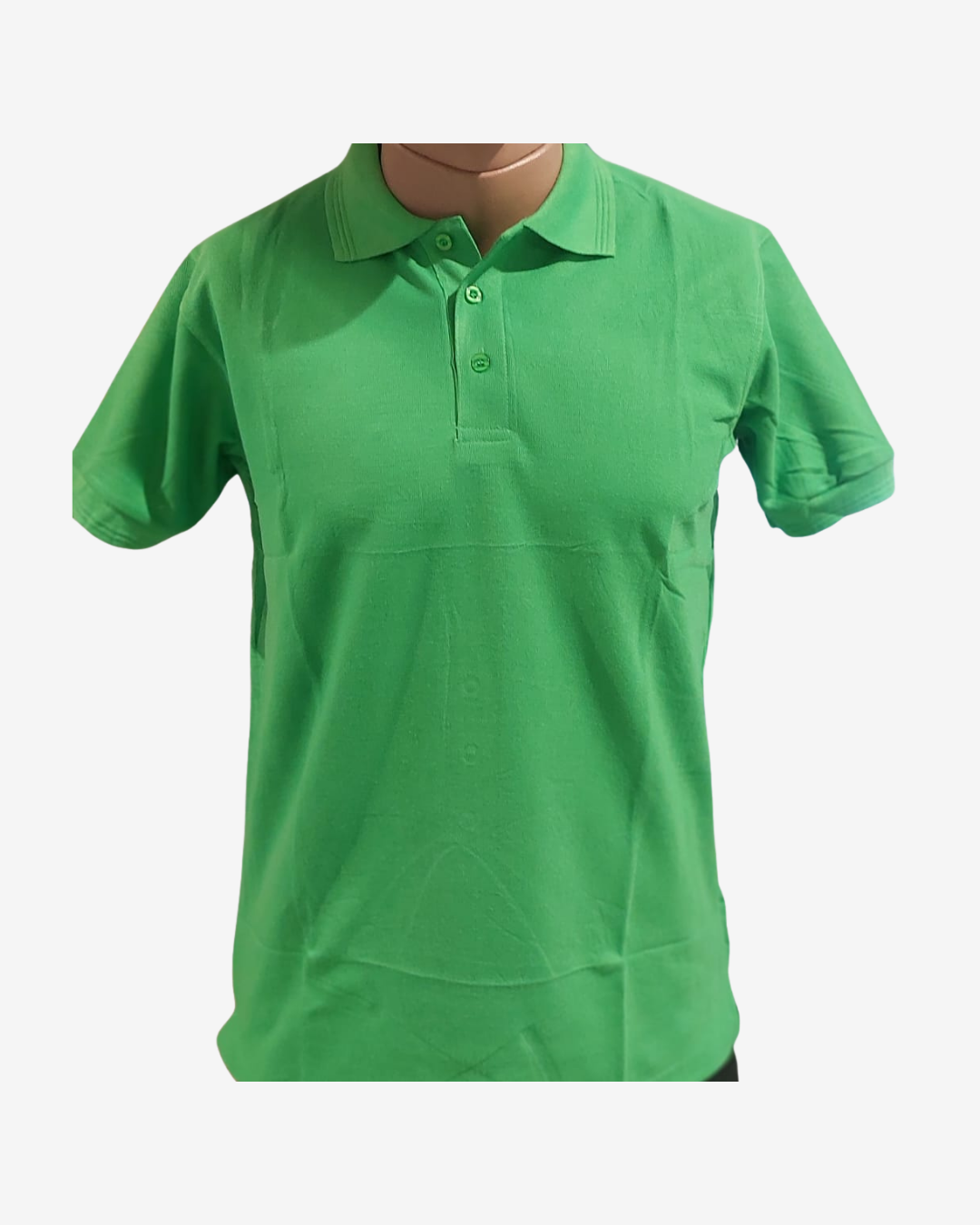 classic polo (1)